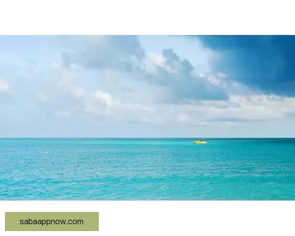 沙巴游戏下载安装指南探索畅玩体验全面解析 沙巴游戏下载安装指南探索畅玩体验全面解析