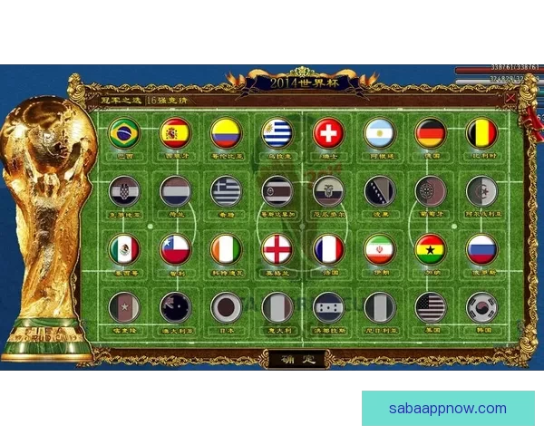 世界杯竞猜高赔率平台推荐，让你轻松赢取巨额奖金体验