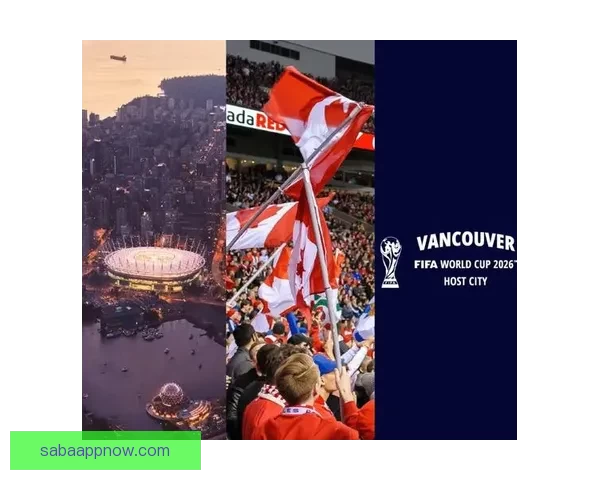 美加墨世界杯竞猜投注热潮来袭，分析热门球队预测及投注策略